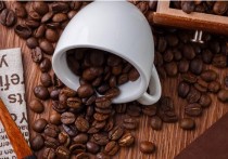 什么咖啡豆比较好 什么牌子的咖啡豆品质好