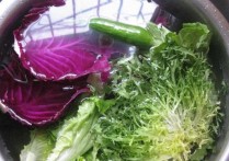 蔬菜沙拉的做法和材料 怎样做蔬菜沙拉才最好吃