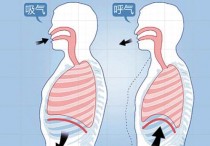 腹试呼吸法 腹式呼吸的正确方法治疗高血压