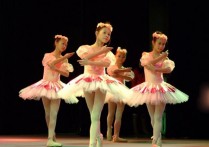 舞蹈动作有什么 练舞蹈的五个基本动作