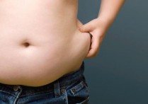 脂肪13%是什么概念 脂肪和油脂的区别在哪里