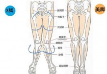 什么是x型腿图片 标准腿型图解大全