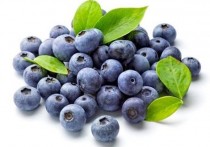 蓝莓是什么季节的水果 最有营养的蓝莓是哪种蓝莓