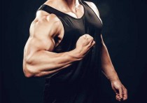 什么叫肌肉收缩图片 手臂肌肉系统图解