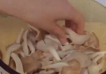 平菇怎么洗 怎样清洗平菇最干净？