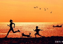 长跑时消耗能量是什么 正常人跑步消耗热量多少才正常