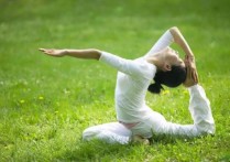 瑜伽有什么区别 瑜伽运动有效吗