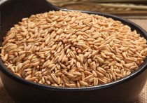 燕麦做主食有什么用 只吃燕麦可以减肥吗