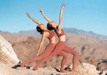 入门学什么瑜伽 新手学瑜伽每天必练8动作